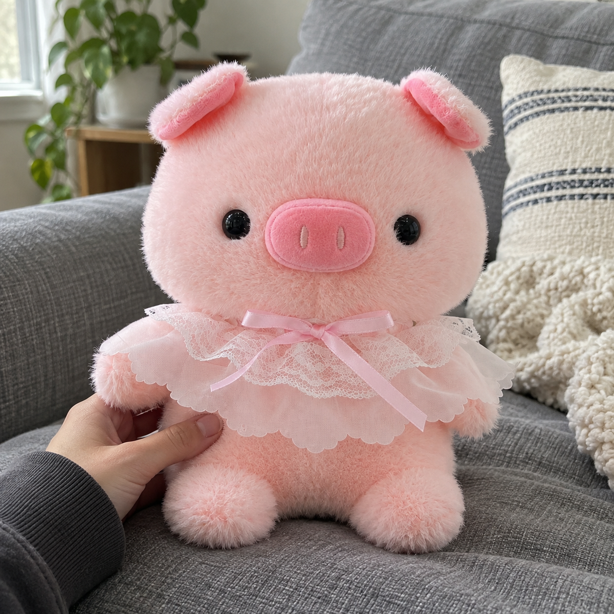 Lace collar pig · 25cm in a lived-in room