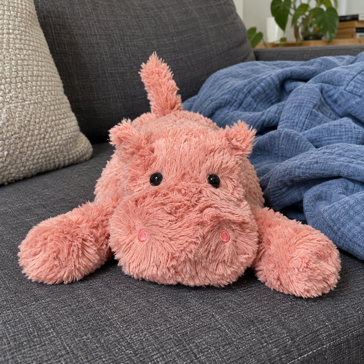 Jimny Hippo plush in an everyday sofa setting