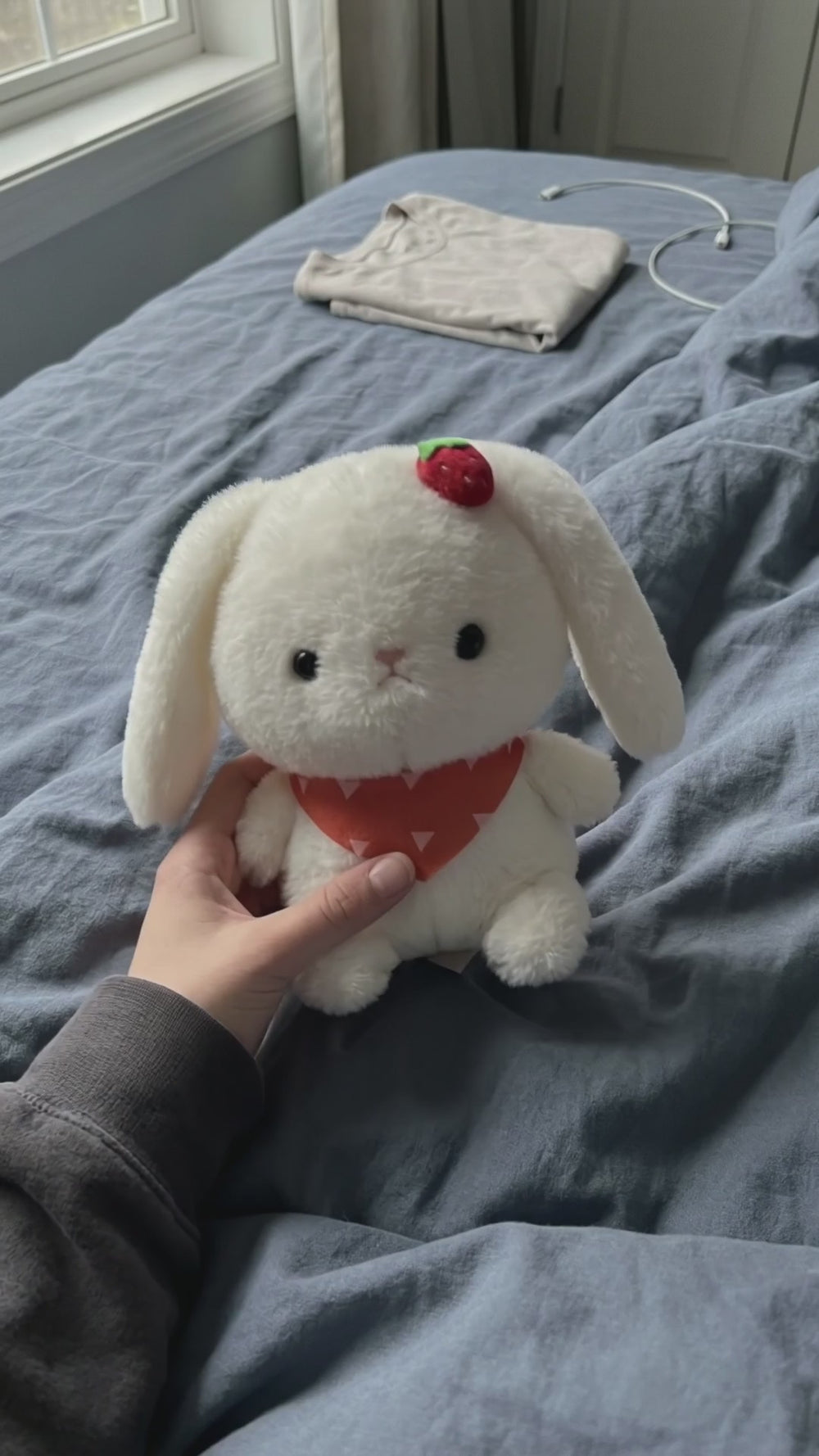 The little scarf