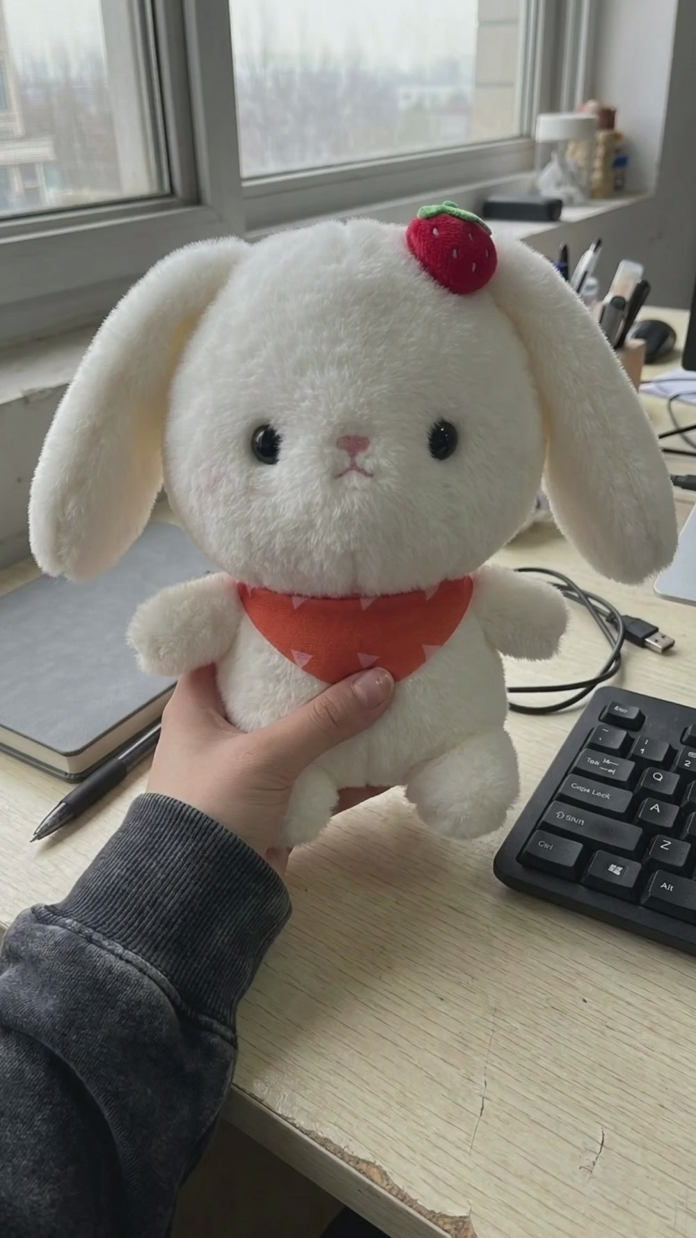 Your new desk companion
